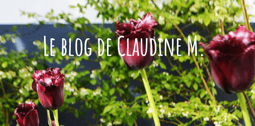 Le blog de Claudine M.