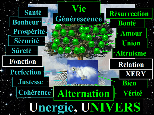 L'Alternation, le contraire de la Négation; l'Alternation est la nature POSITIVE, NORMALE, le fonctionnement normal de l'Univers; 
		l'Alternation est synonyme d'Univers TOTAL, d'Existence, d'Unergie (Energie Positive), de Générescence, de Vie