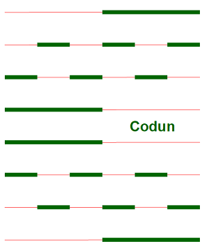 Codun