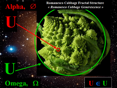 La structure fractale du chou de Romanesco raconte l'Univers-Dieu