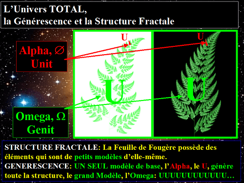 Feuille de Fougère, Fractale qui racontre l'Univers