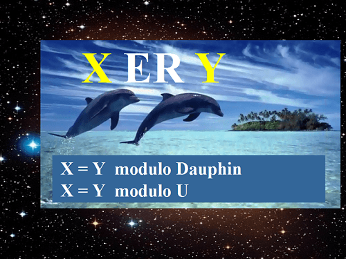 XERY pour deux Dauphins