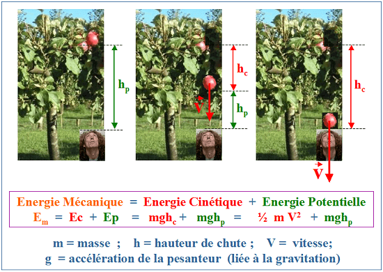 Pomme de Newton et gravitation