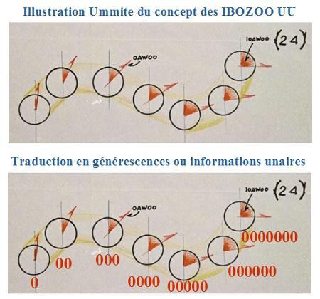 IBOZOO UU, théorie du champ unitaire Ummite 1