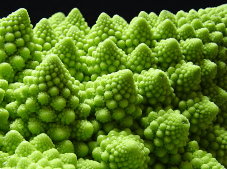 Romanesco Cabbage