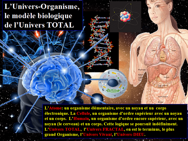 Modèle biologique de l'Univers TOTAL