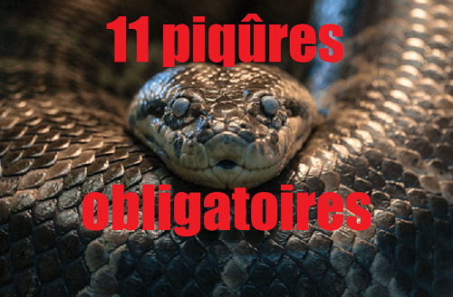11 piqûres des serpents obligatoires pour les bébés