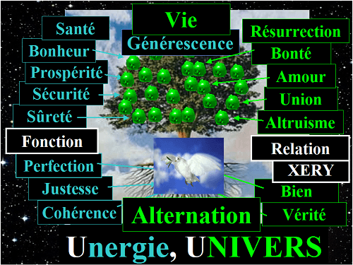 Alternation, la Positivité et la logique Normale de l'Univers TOTAL