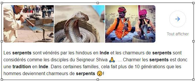 Charmeurs de serpents 2