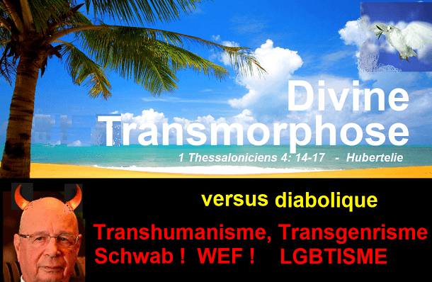 Divine Transmorphose versus diabolique Transgenrisme