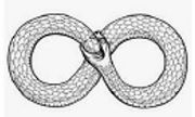 Ouroboros Infini Meta