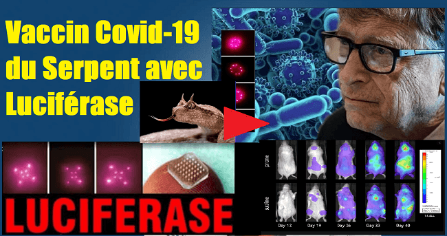 Vaccin Covid-19 du Serpent avec Luciférase