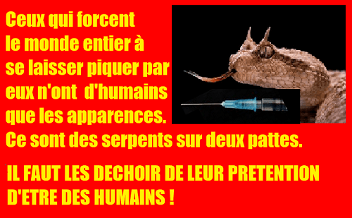 Ce ne sont pas des humains