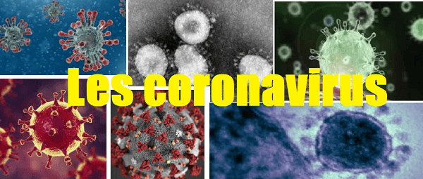 Un coronavirus