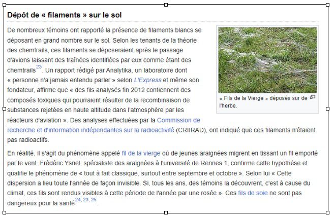 Création rétroactive de la réalité des fils de la vierge
