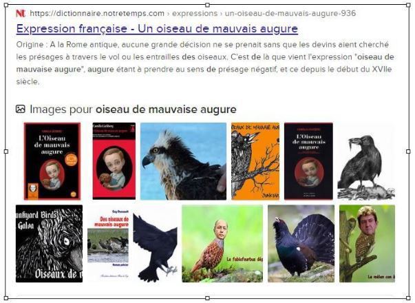 Oiseau de mauvais augure