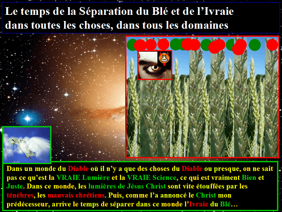 Le blé et l'ivraie