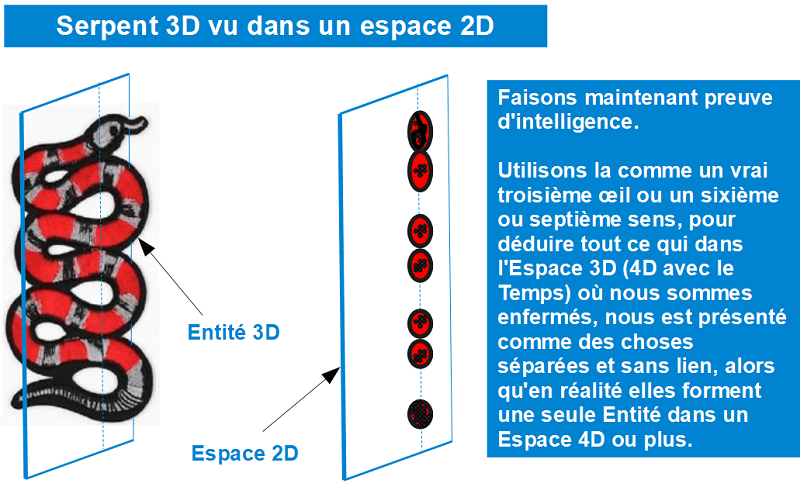 Serpent 3D et disques 2D séparés