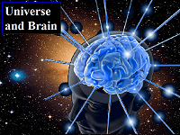 Universe and Brain