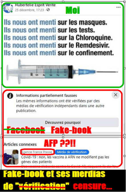 Fake-book et ses merdias de vérification