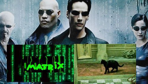 Le bug du chat de Matrix