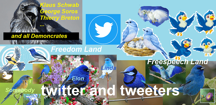 Twitter et Twitos