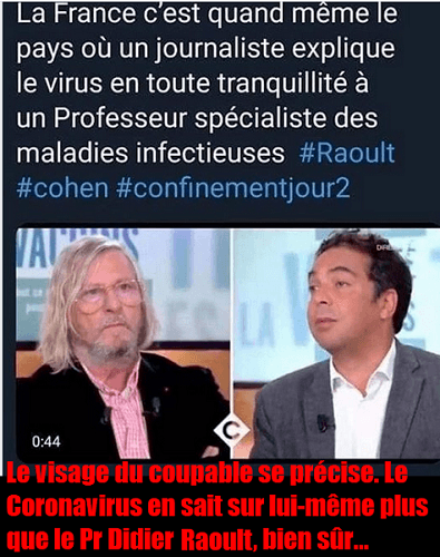 Visage du Coupable, visage du Coronavirus. Cohen, un journaliste qui explique le virus à un Professeur spécialiste